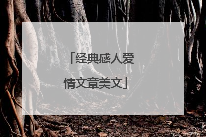 经典感人爱情文章美文