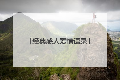 经典感人爱情语录