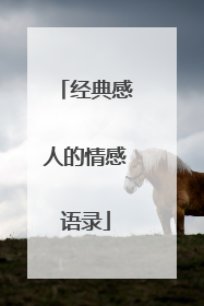 经典感人的情感语录