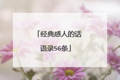 经典感人的话语录56条