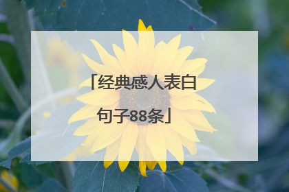 经典感人表白句子88条