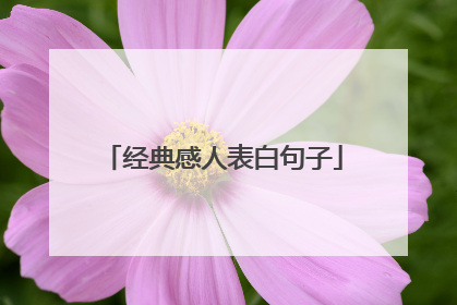 经典感人表白句子
