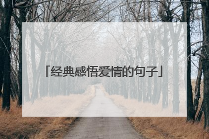 经典感悟爱情的句子