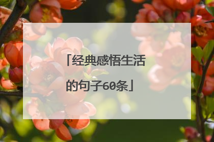 经典感悟生活的句子60条