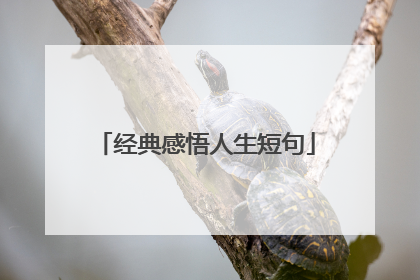 经典感悟人生短句