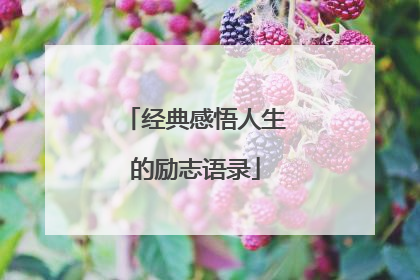 经典感悟人生的励志语录
