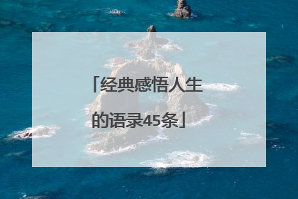 经典感悟人生的语录45条