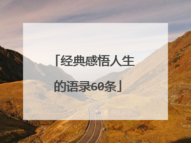 经典感悟人生的语录60条
