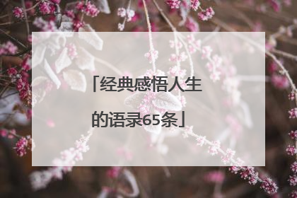 经典感悟人生的语录65条