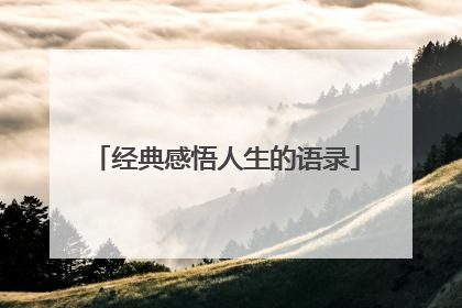 经典感悟人生的语录