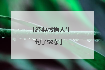 经典感悟人生句子50条