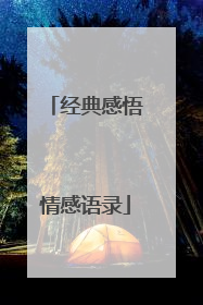 经典感悟情感语录