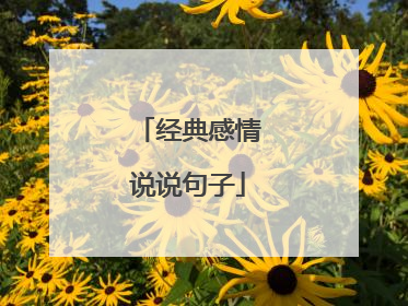 经典感情说说句子