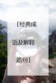 经典成语及解释造句