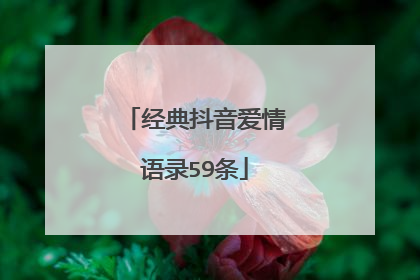 经典抖音爱情语录59条