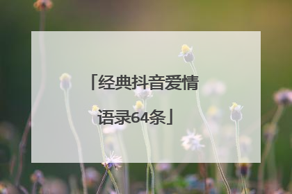 经典抖音爱情语录64条