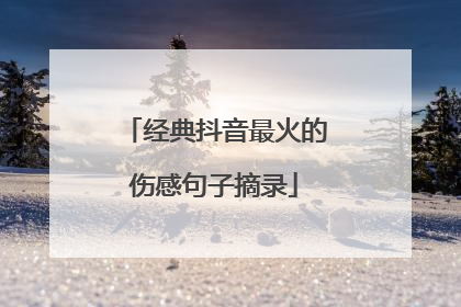 经典抖音最火的伤感句子摘录