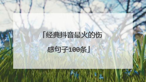 经典抖音最火的伤感句子100条