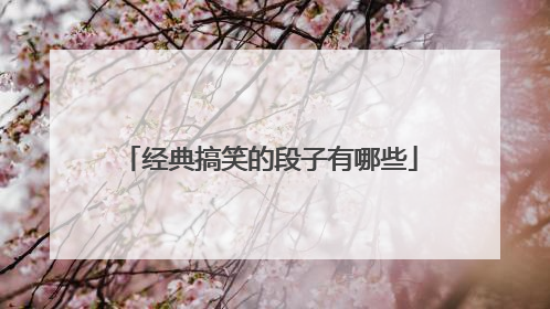 经典搞笑的段子有哪些