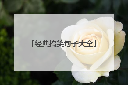 经典搞笑句子大全