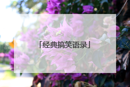 经典搞笑语录