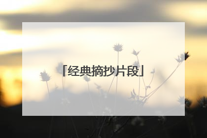 经典摘抄片段