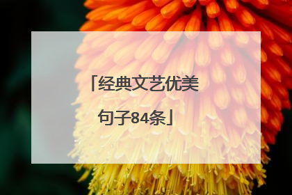 经典文艺优美句子84条