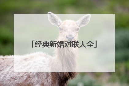 经典新婚对联大全