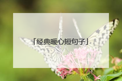 经典暖心短句子