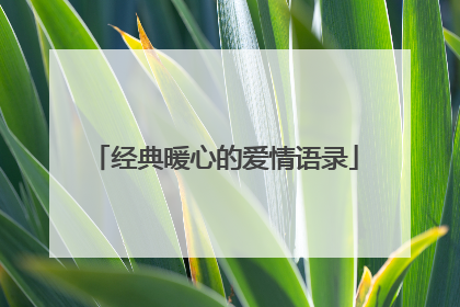 经典暖心的爱情语录