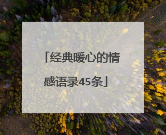 经典暖心的情感语录45条