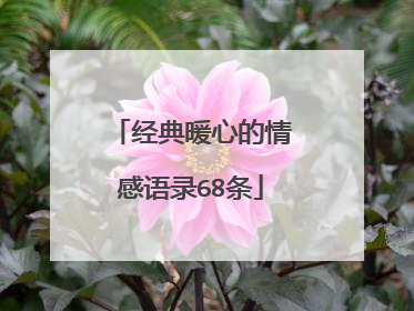 经典暖心的情感语录68条
