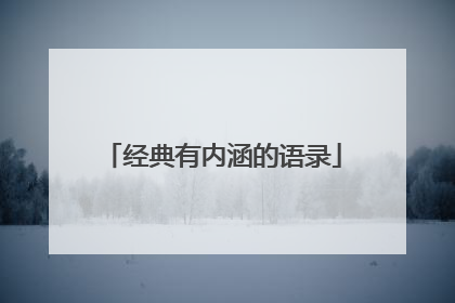 经典有内涵的语录