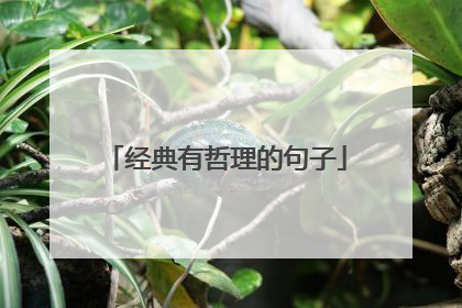 经典有哲理的句子