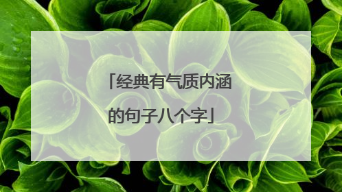 经典有气质内涵的句子八个字