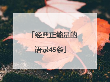 经典正能量的语录45条