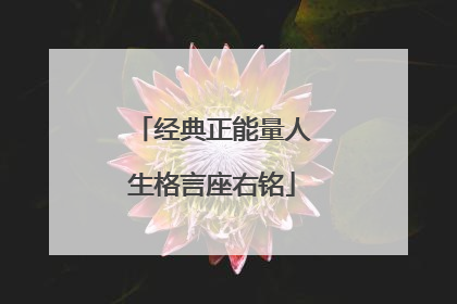 经典正能量人生格言座右铭