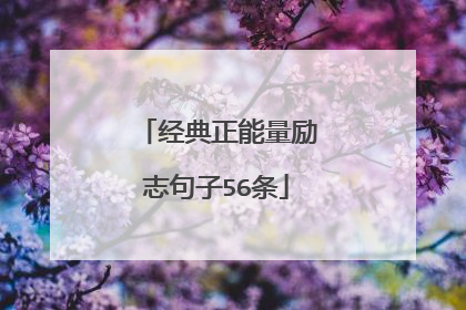 经典正能量励志句子56条