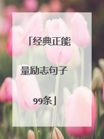 经典正能量励志句子99条