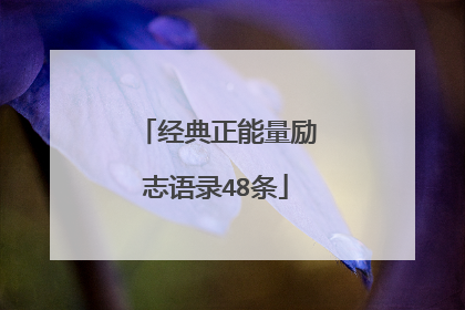 经典正能量励志语录48条