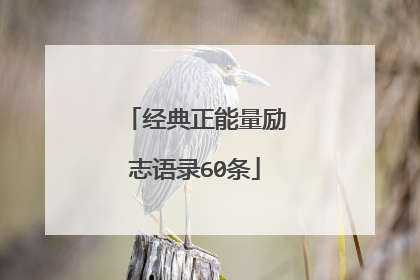 经典正能量励志语录60条