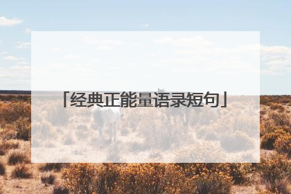 经典正能量语录短句