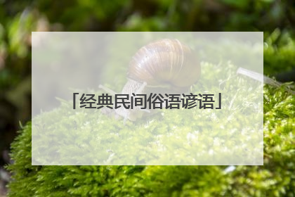 经典民间俗语谚语