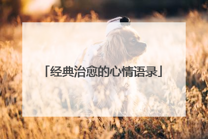 经典治愈的心情语录