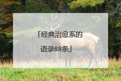 经典治愈系的语录88条