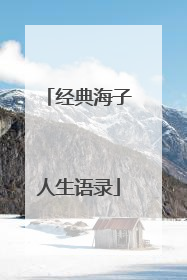 经典海子人生语录