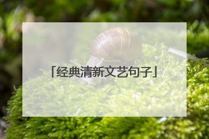 经典清新文艺句子