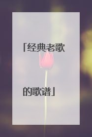 经典老歌的歌谱
