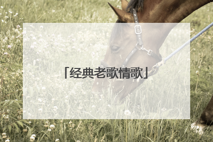 经典老歌情歌