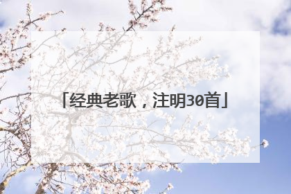 经典老歌,注明30首